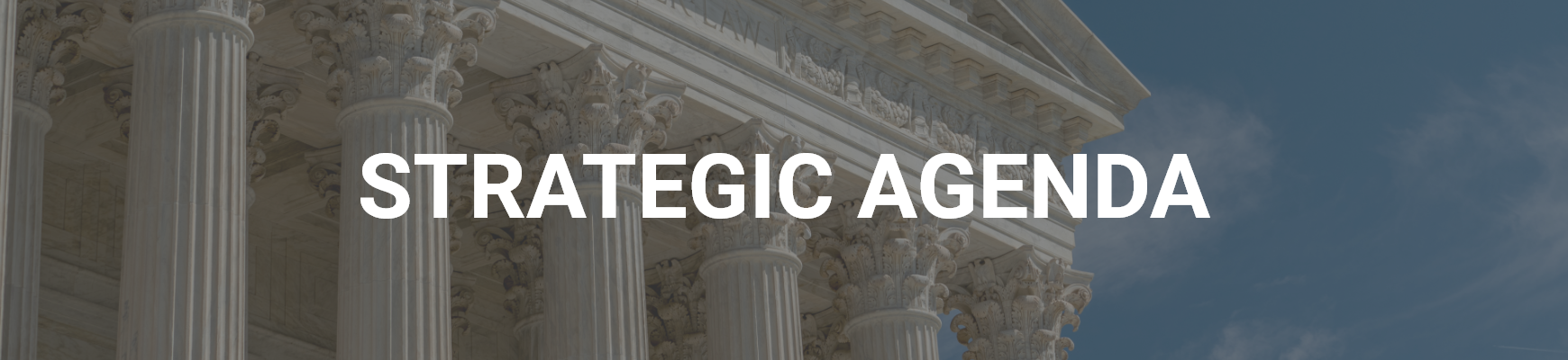 Strategic Agenda banner
